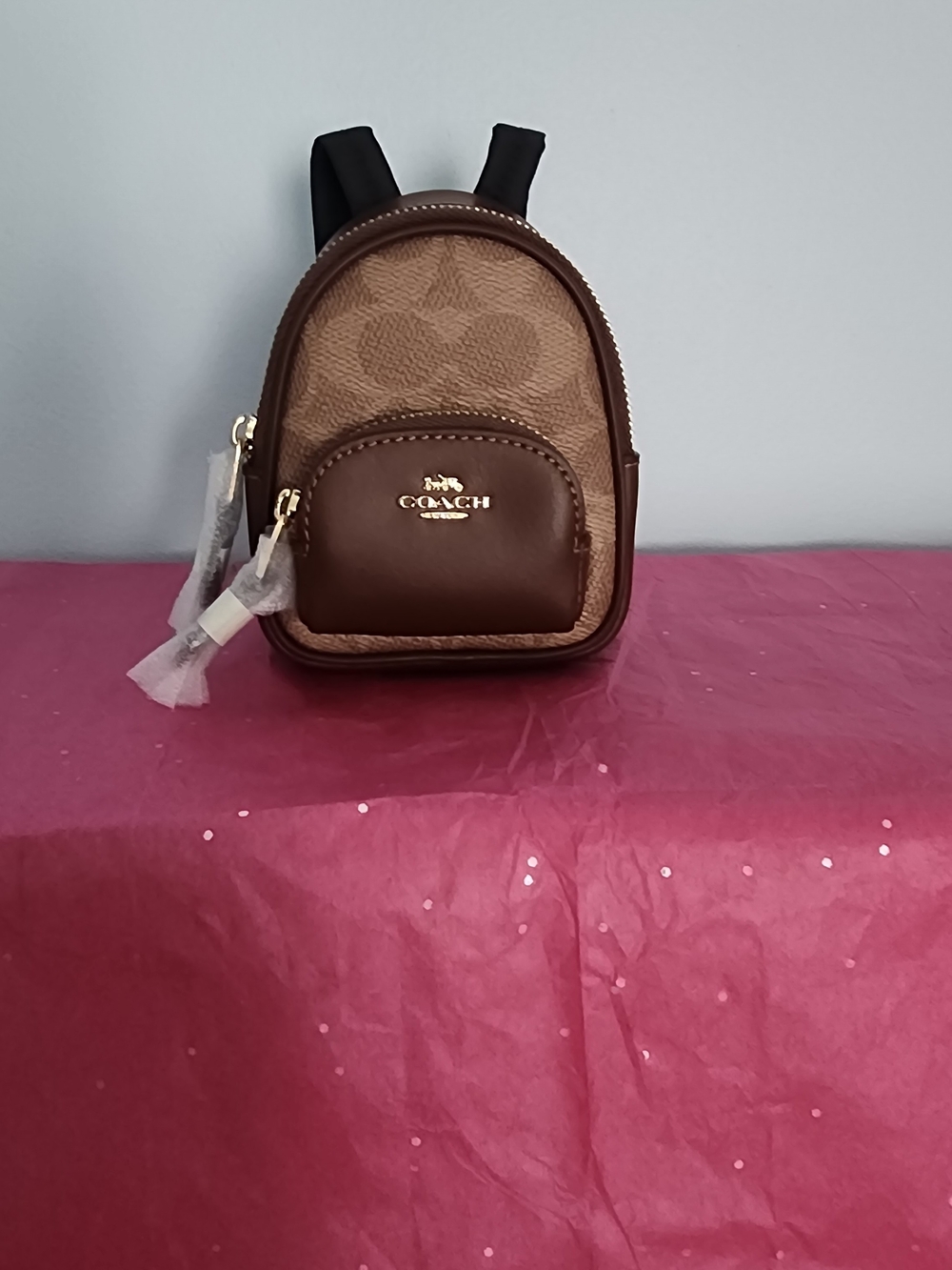 Coach Mini Backpack in Signature Brown
